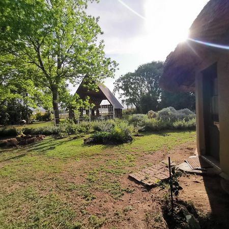 Drakensberg Bush Lodge And Backpackers Winterton Exteriér fotografie