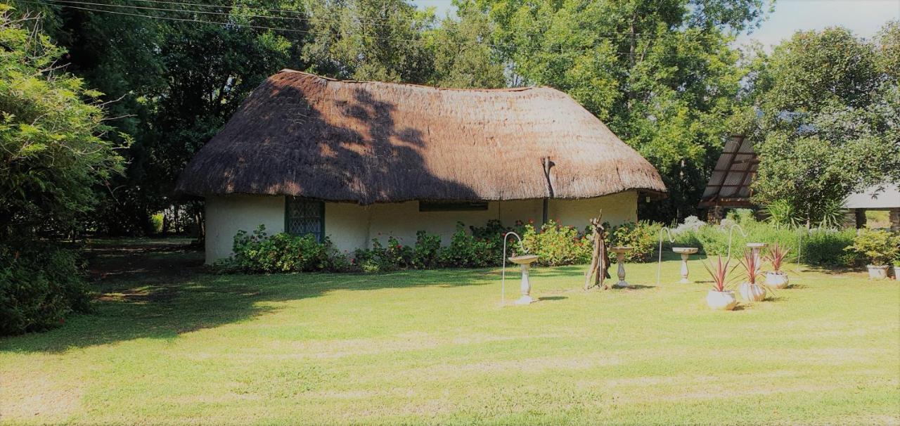 Drakensberg Bush Lodge And Backpackers Winterton Exteriér fotografie